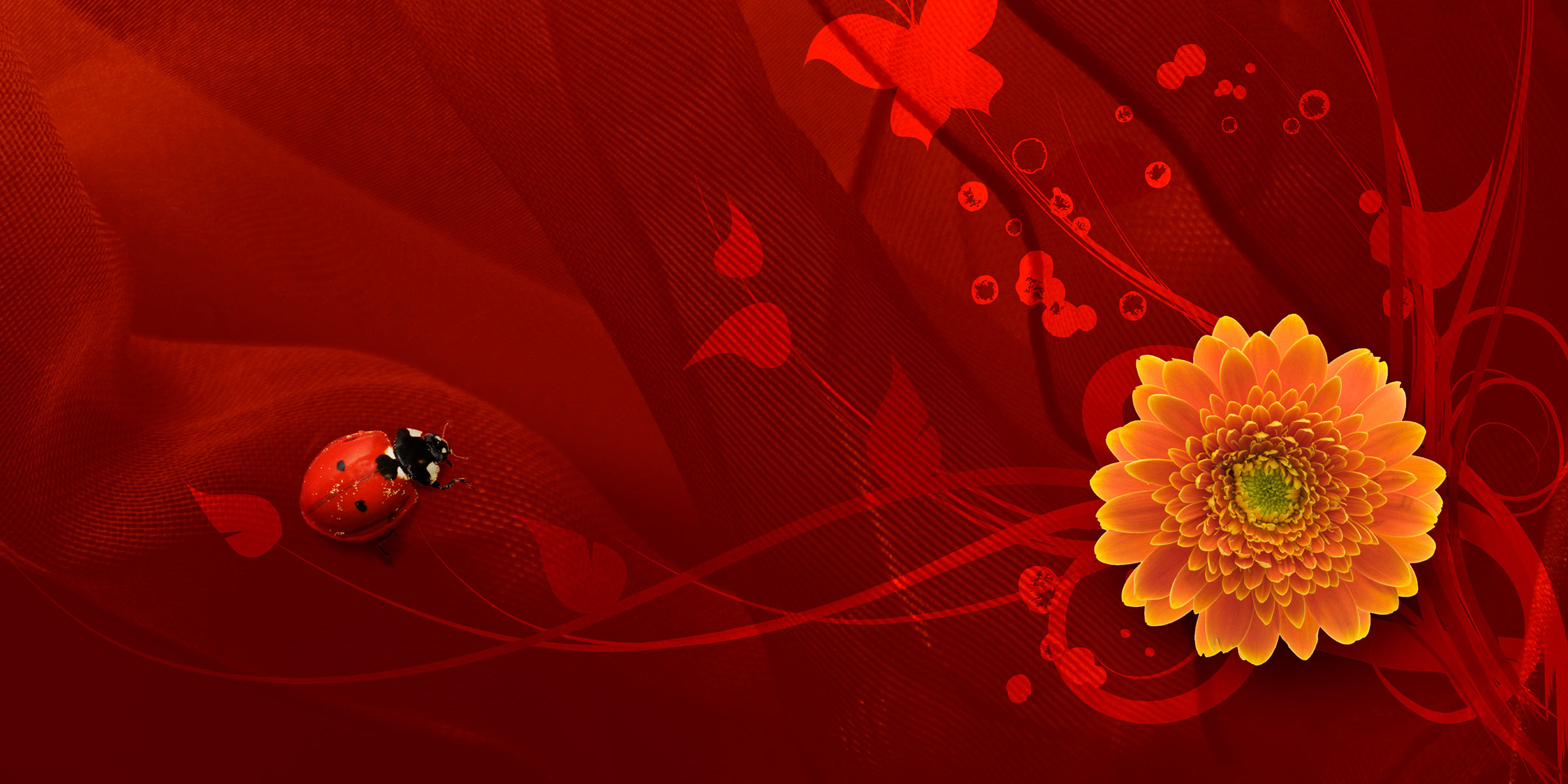 bg-omena-2008.jpg